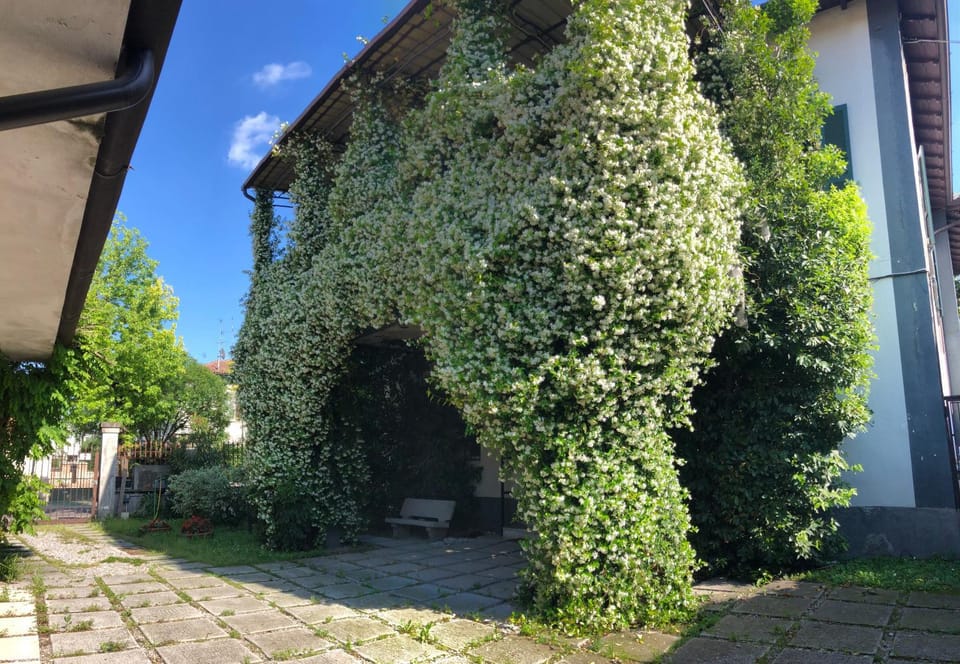 Garden, Parking