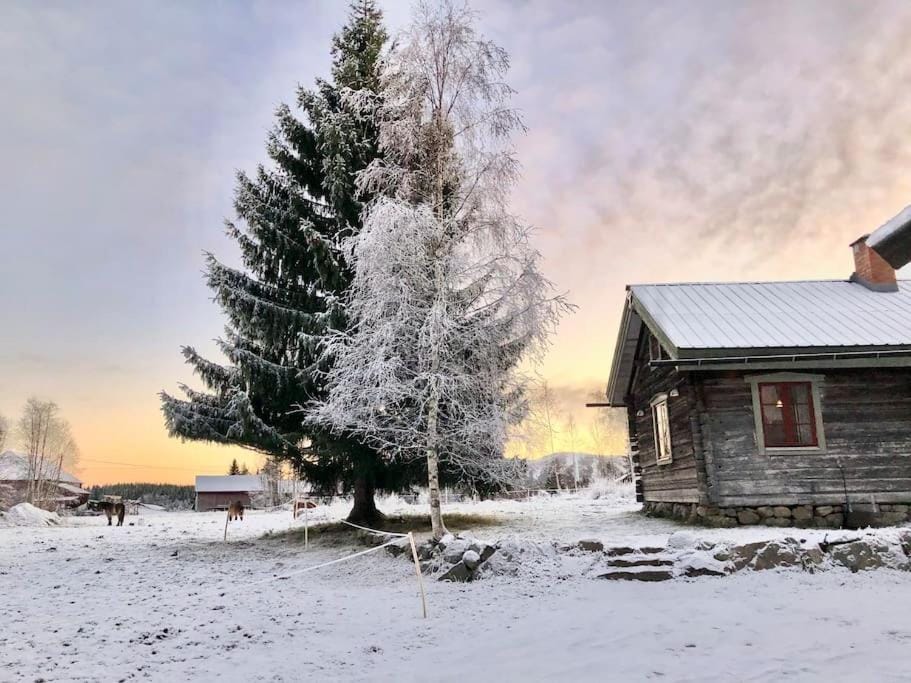 Day, Natural landscape, Winter