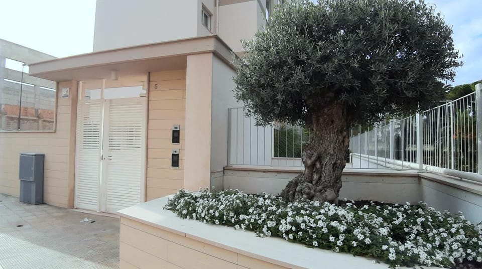 Boulevard Suite Apartment in Bari
