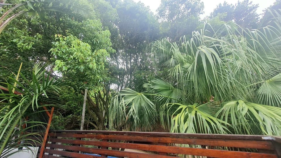 Tropical 4 Bedroom 3 bathroom 8 to 10 sleeper Holiday Getaway House in KwaZulu-Natal
