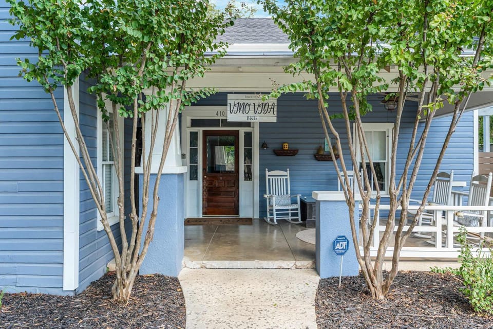 Vino Vida spacious home with hot tub House in Fredericksburg
