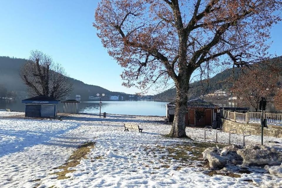 Lake view