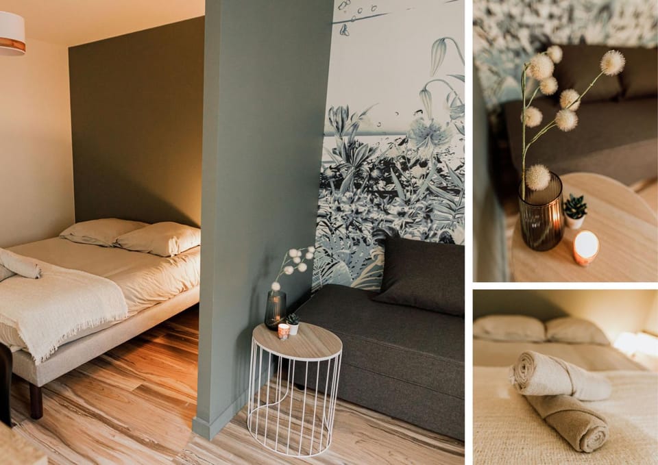 Bed, Living room, Photo of the whole room, towels