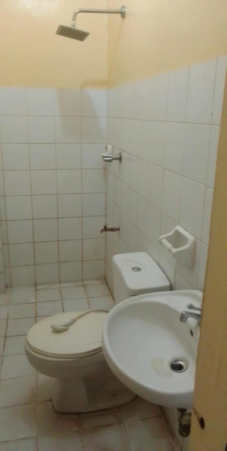 Shower, Toilet, Bathroom, bidet