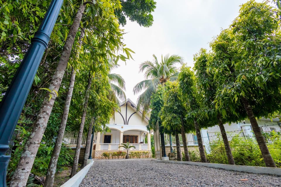 Property building, Garden view