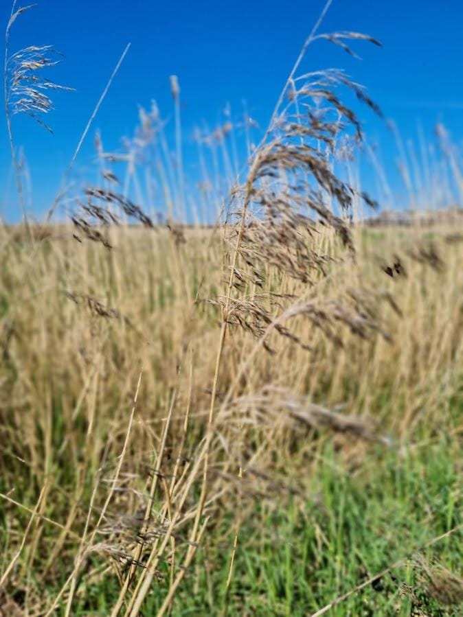 Natural landscape