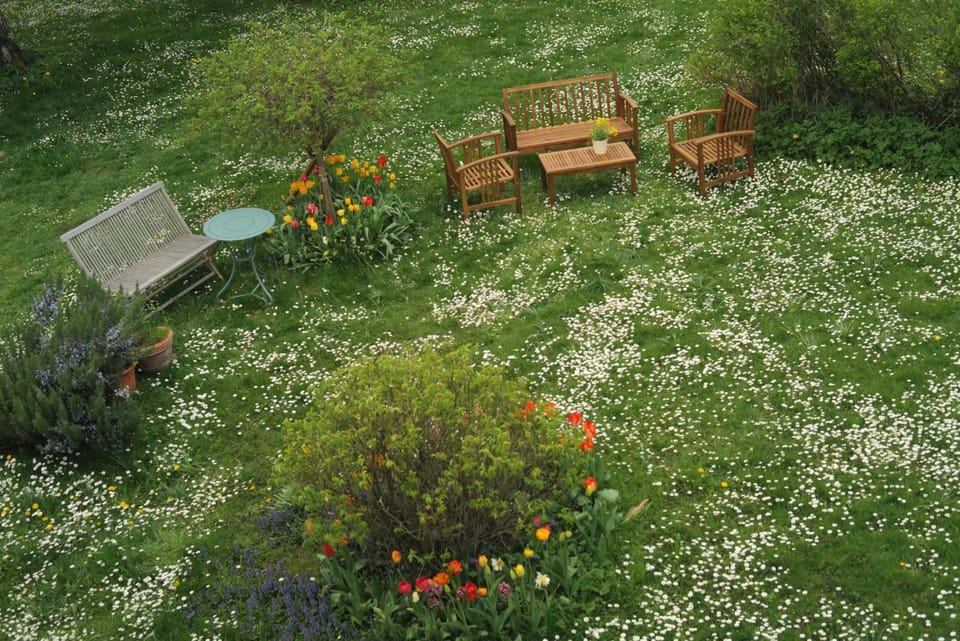 Garden view
