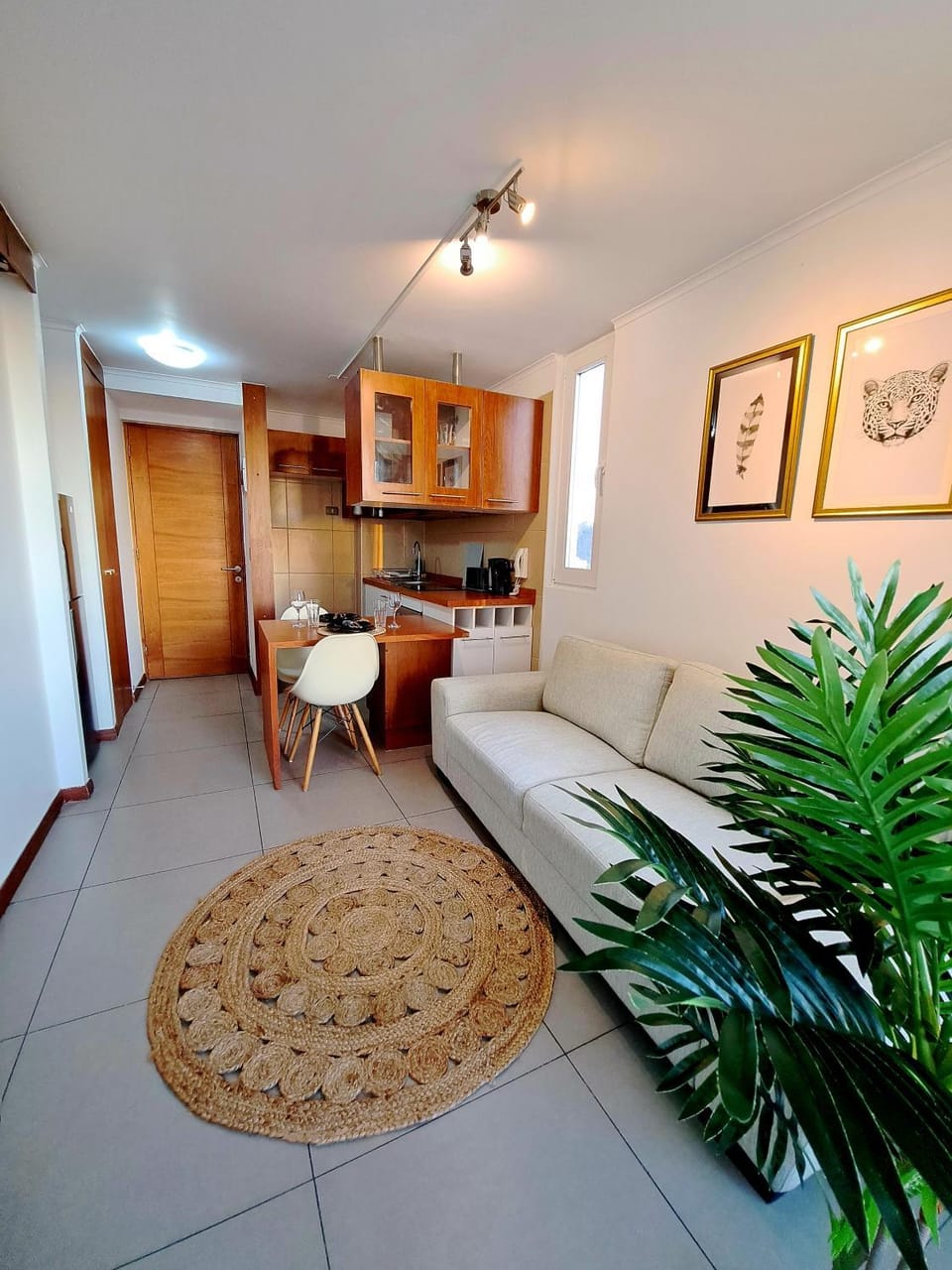 Céntrico y cómodo departamento Apartment in Bio Bio, Chile