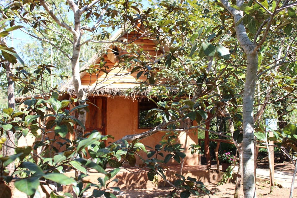 La Montaña Parque Natural Campground/ 
RV Resort in State of Nayarit