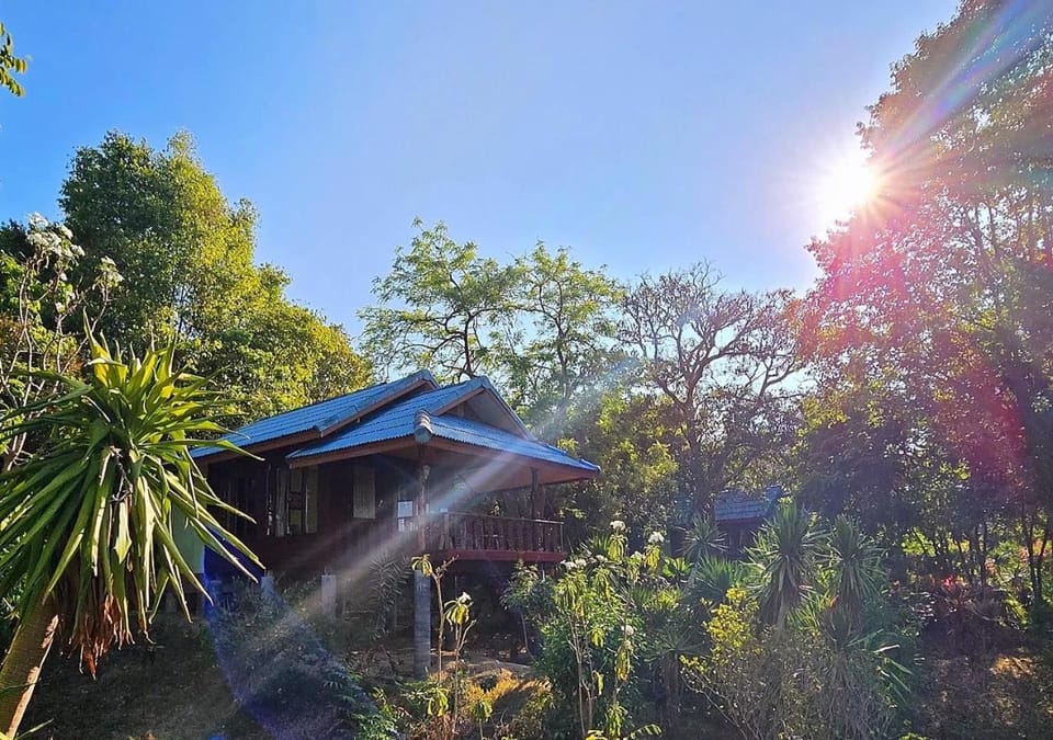 Property building, Garden