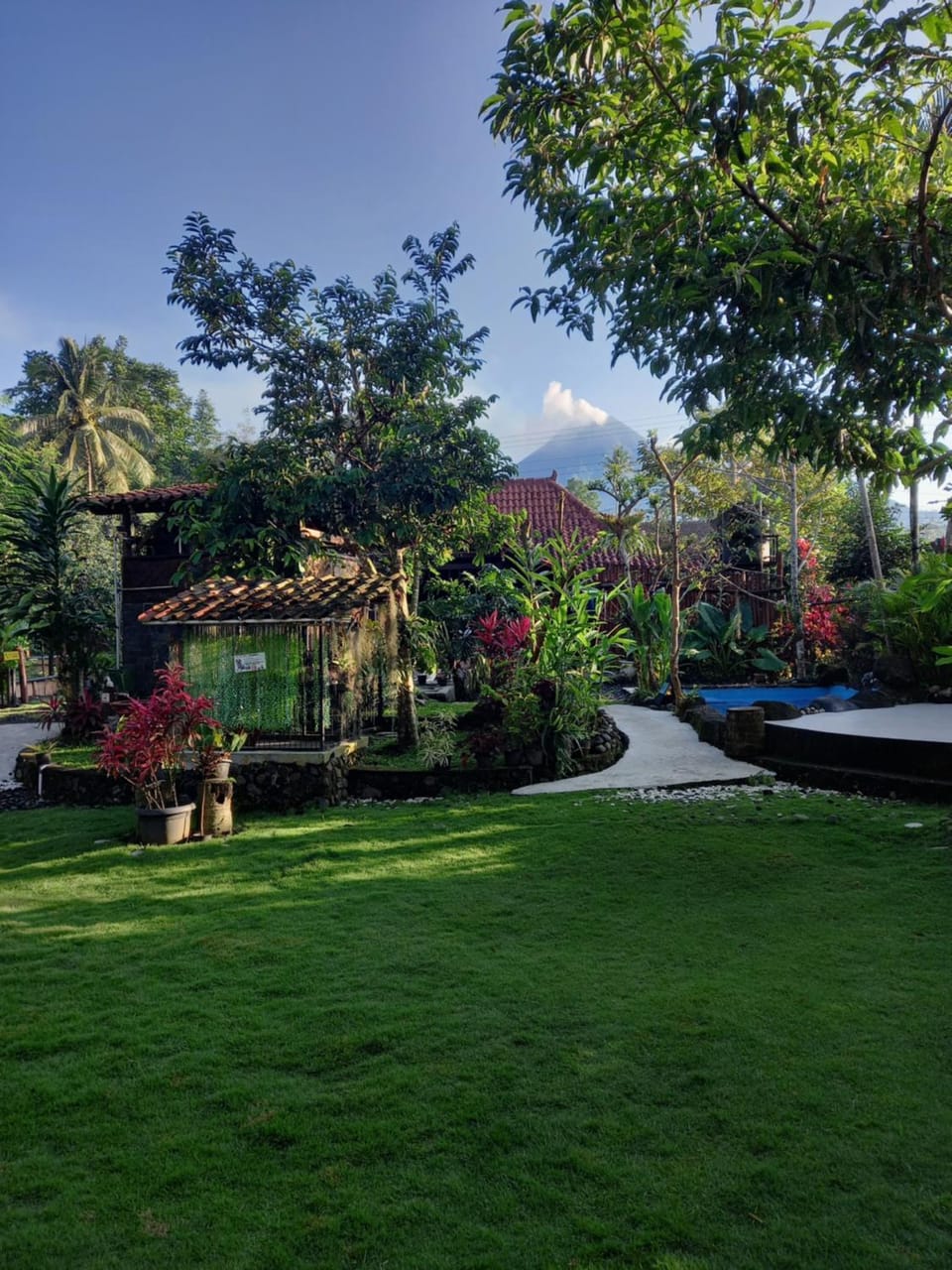Garden, Garden view