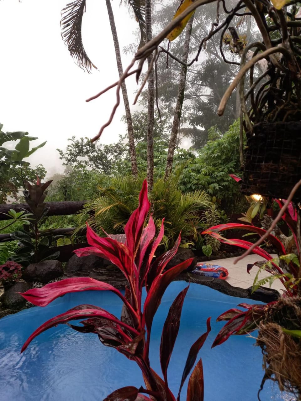 Natural landscape