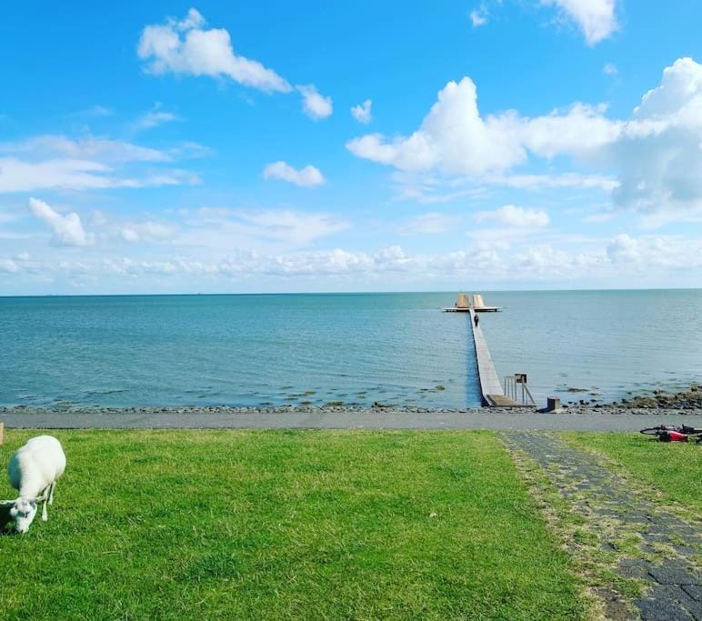 De Oostkamer; Eiland appartement naast natuurgebied Boschplaat Apartment in Friesland, Netherlands