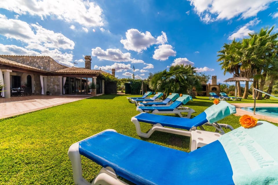 Patio, Garden, Garden view
