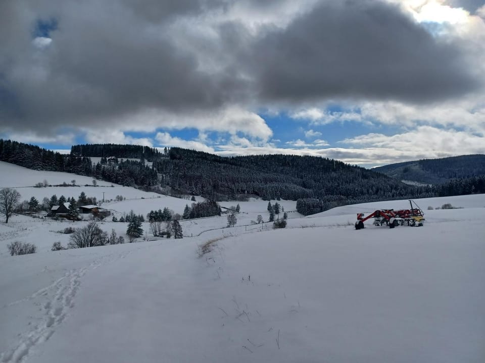 Schwarzwaldstube Apartment in Titisee-Neustadt