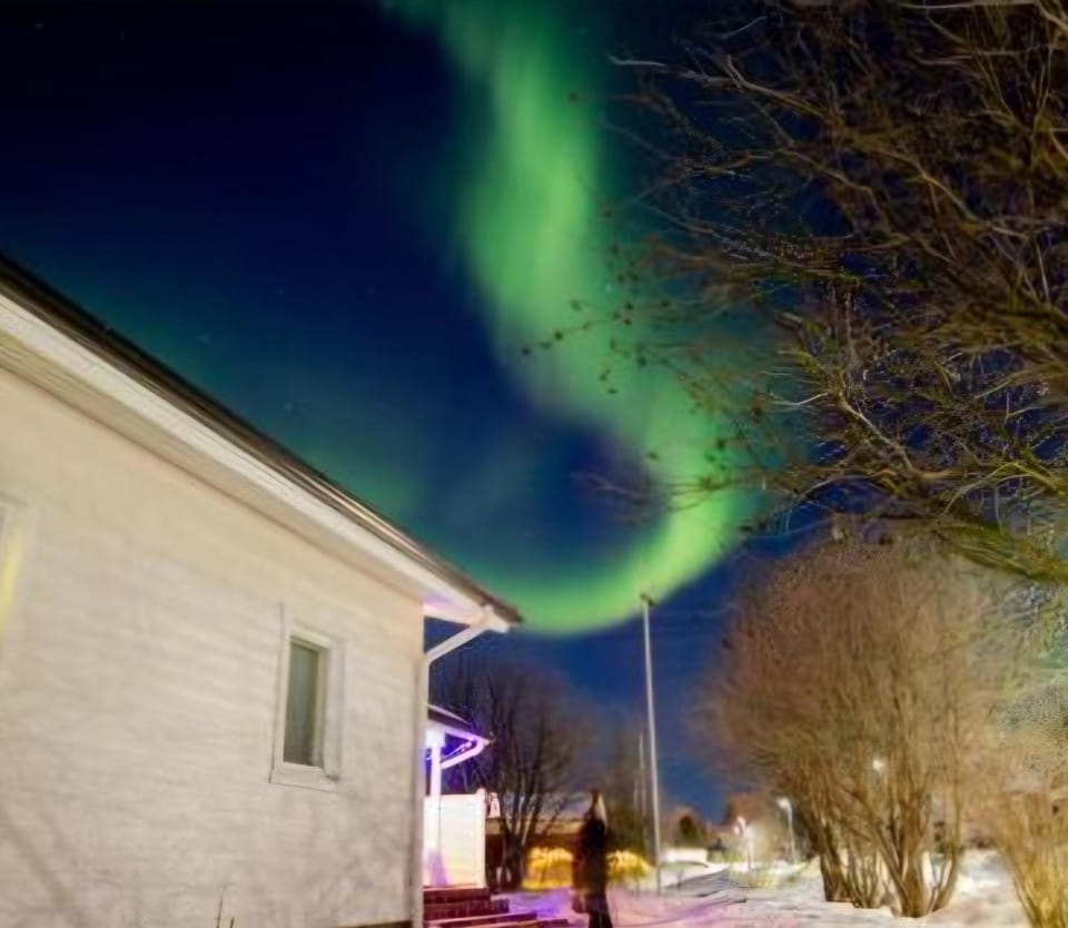 Property building, Night, Natural landscape, Winter