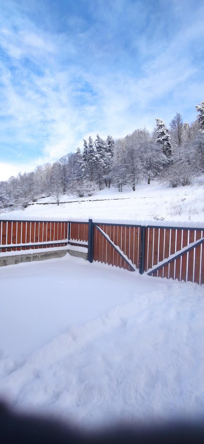 Day, Natural landscape, Winter, View (from property/room)