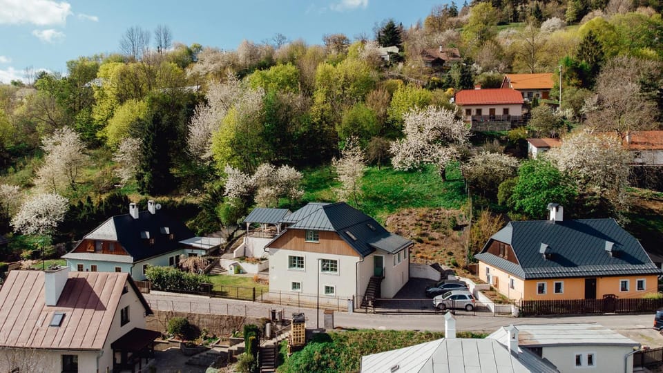Spring, Day, Neighbourhood, Natural landscape, Bird's eye view, Street view