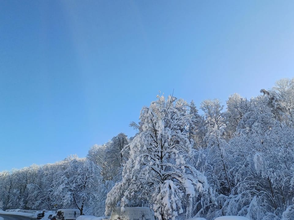 Casa Hintze II- 2 Zimmerwohnung 5 Minuten zu Fuß in die Innenstadt und nahe der Berge Apartment in Kempten