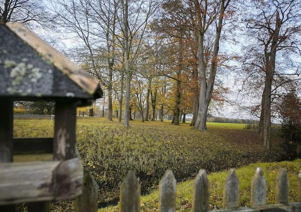 Natural landscape, Garden view