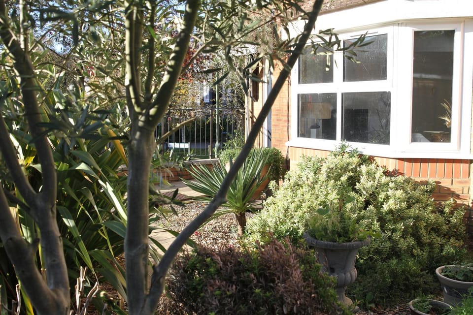Property building, Day, Garden, Garden view