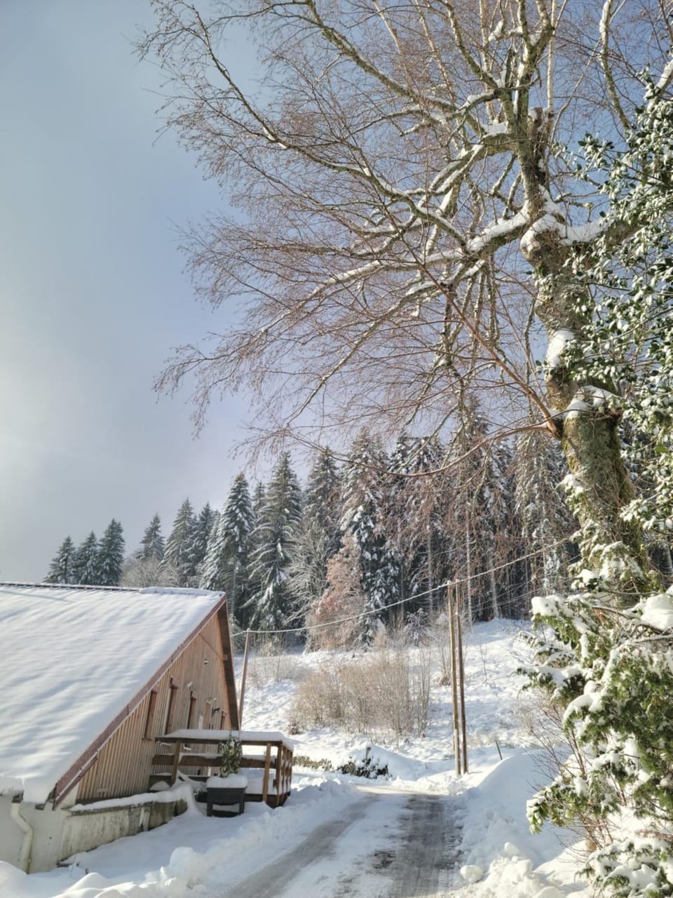 Patio, Day, Natural landscape, Winter