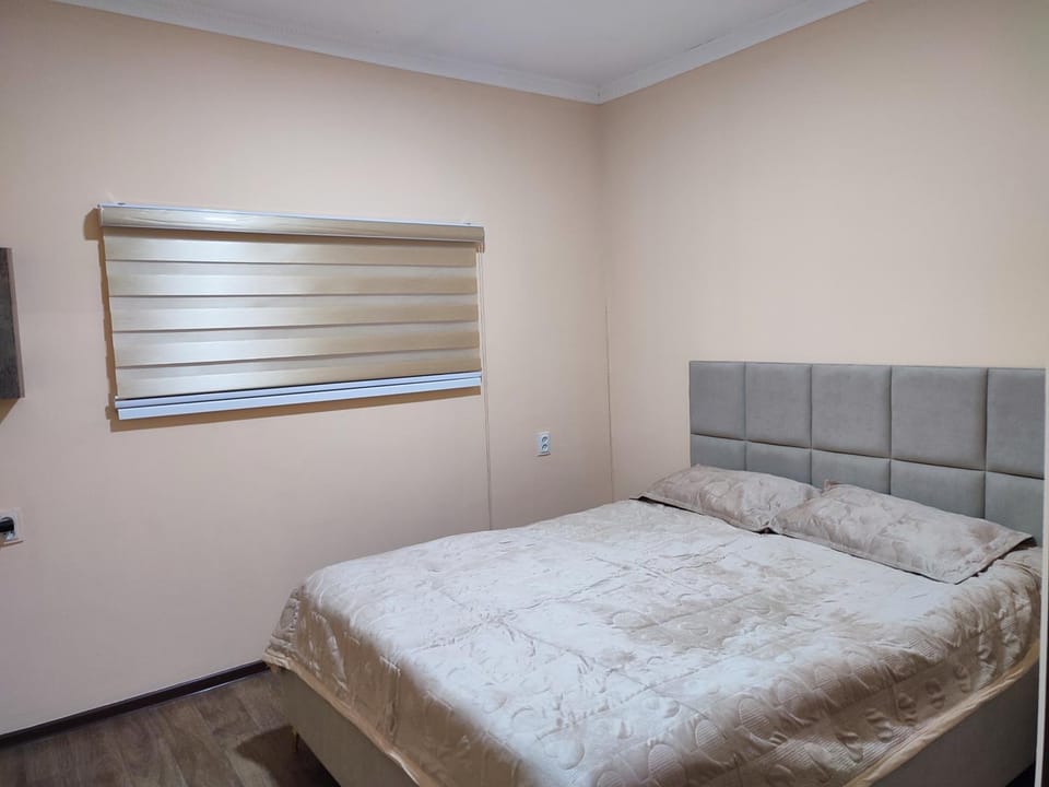 "Aiko" Қонақ Отбасы 2 Apartment in Kazakhstan