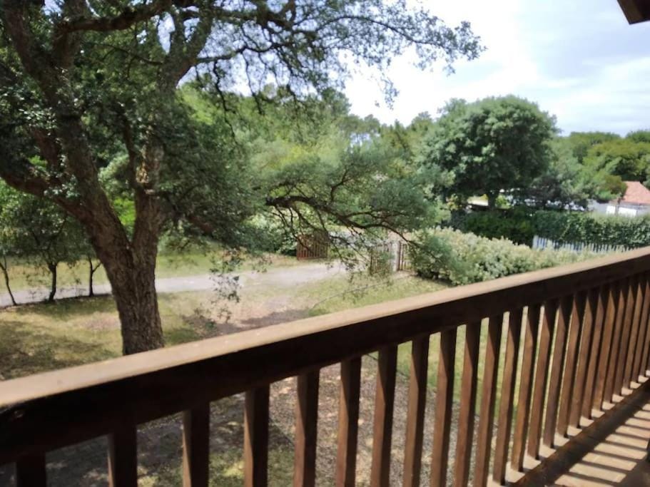 Balcony/Terrace, Garden view
