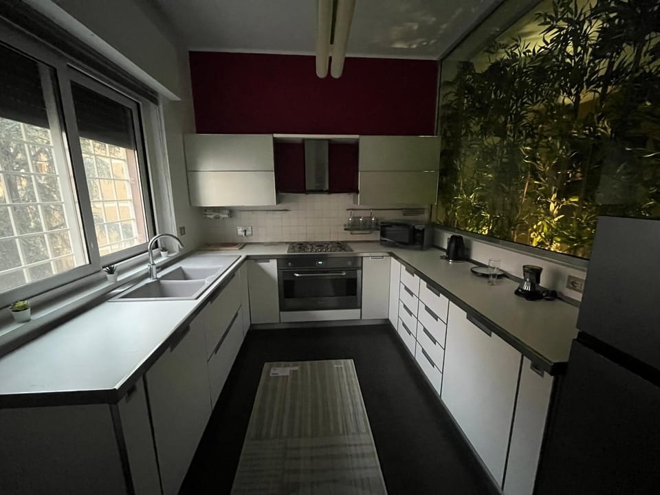 Kitchen or kitchenette, dishwasher, furniture, minibar, pet friendly, stove, kitchen, kitchen
