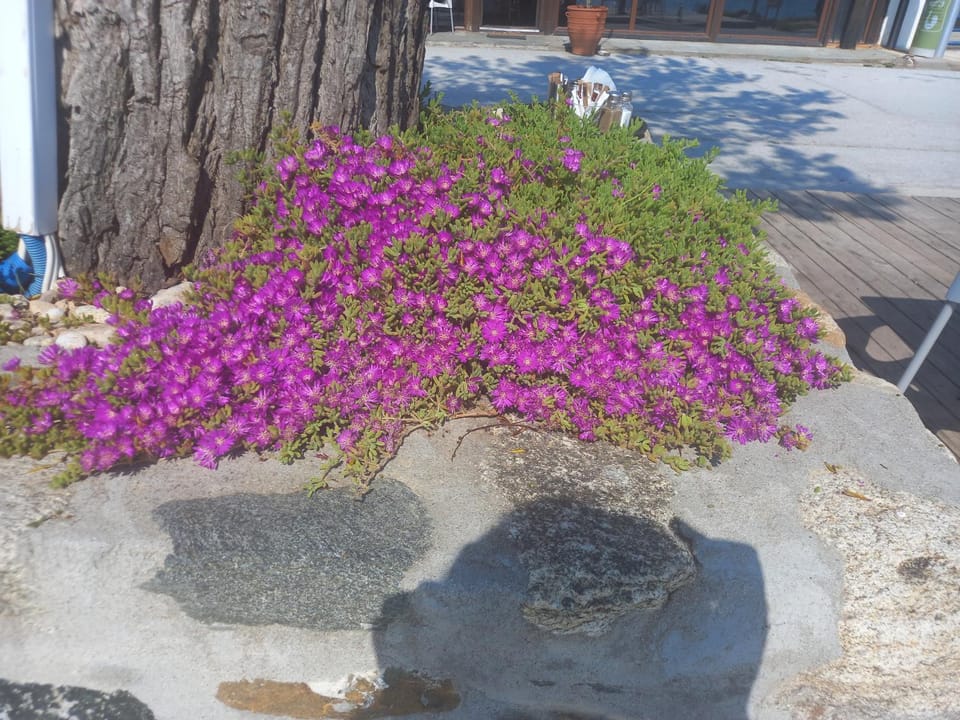 Musses House Apartment hotel in Decentralized Administration of Macedonia and Thrace