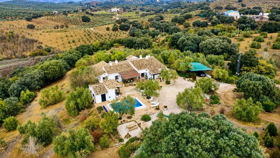 Property building, Bird's eye view
