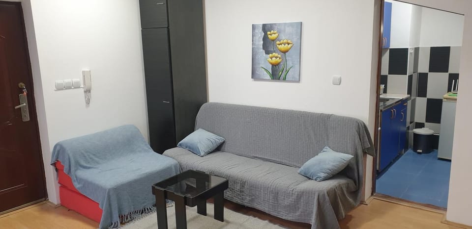 City center apartment 3 Apartment in Serbia