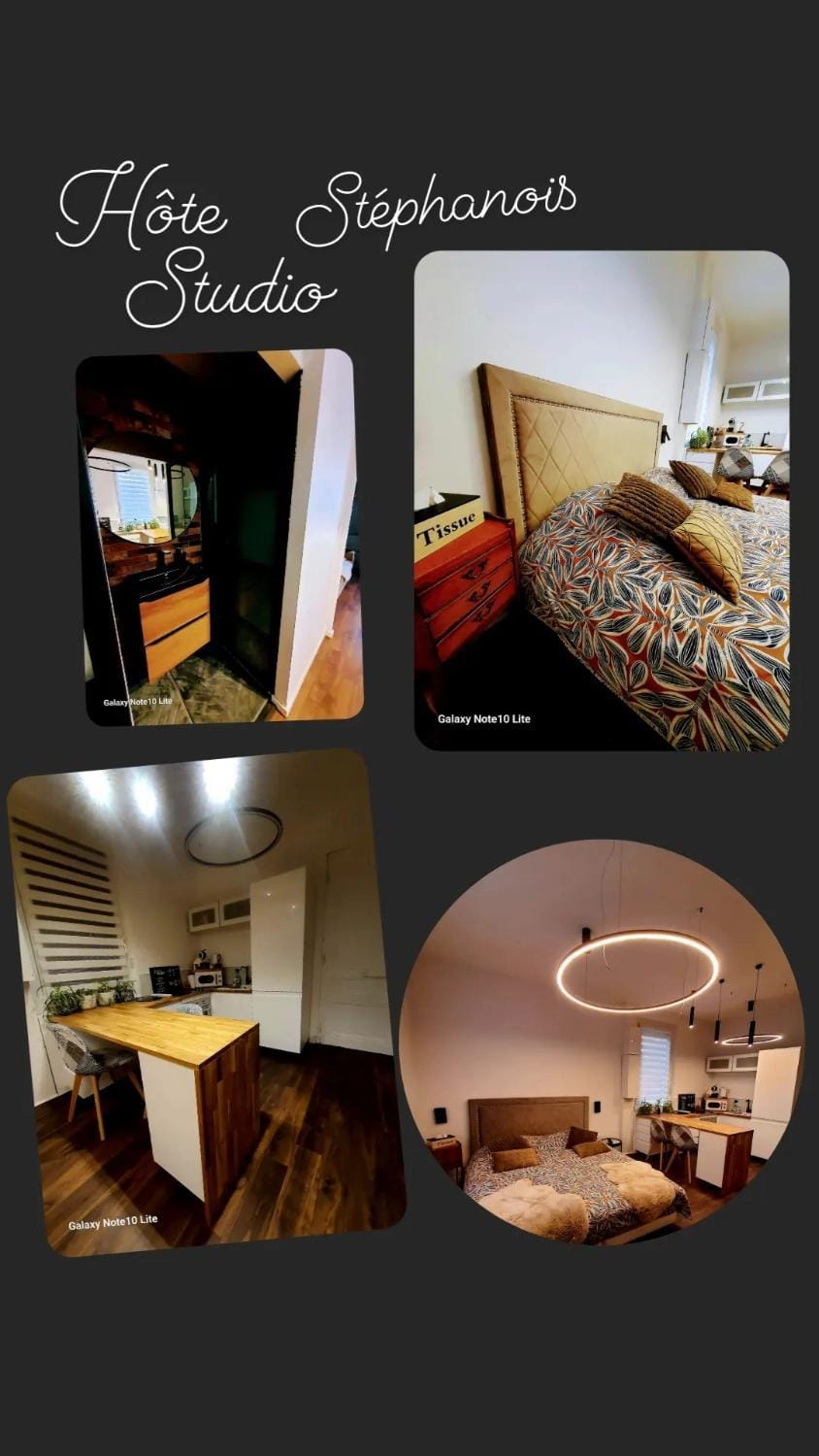 Hôte Stéphanois Studio & parking Apartment in Saint-Étienne