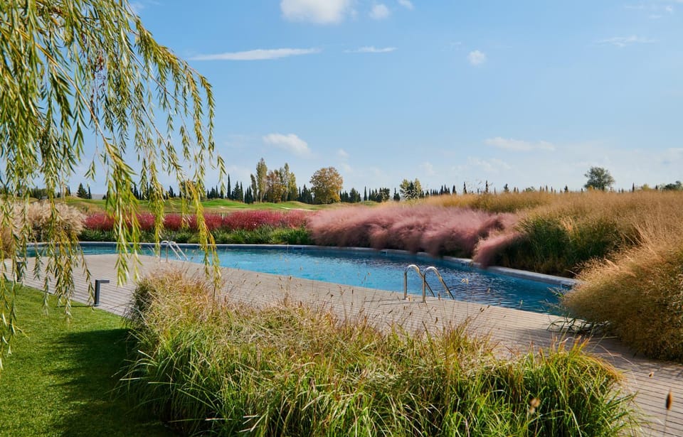 Natural landscape, Garden, Garden, Swimming pool
