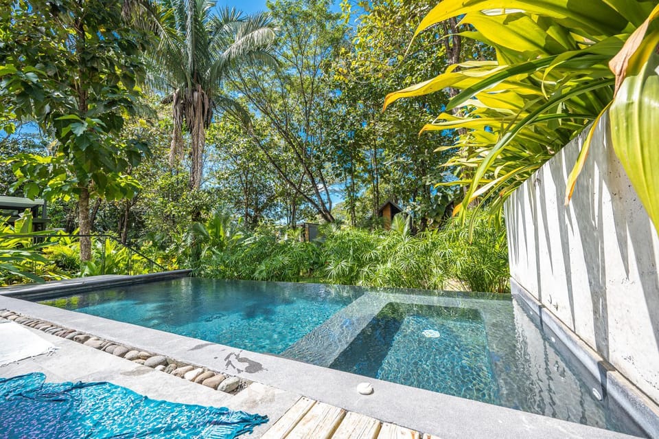 Garden, Garden view, Pool view, Swimming pool