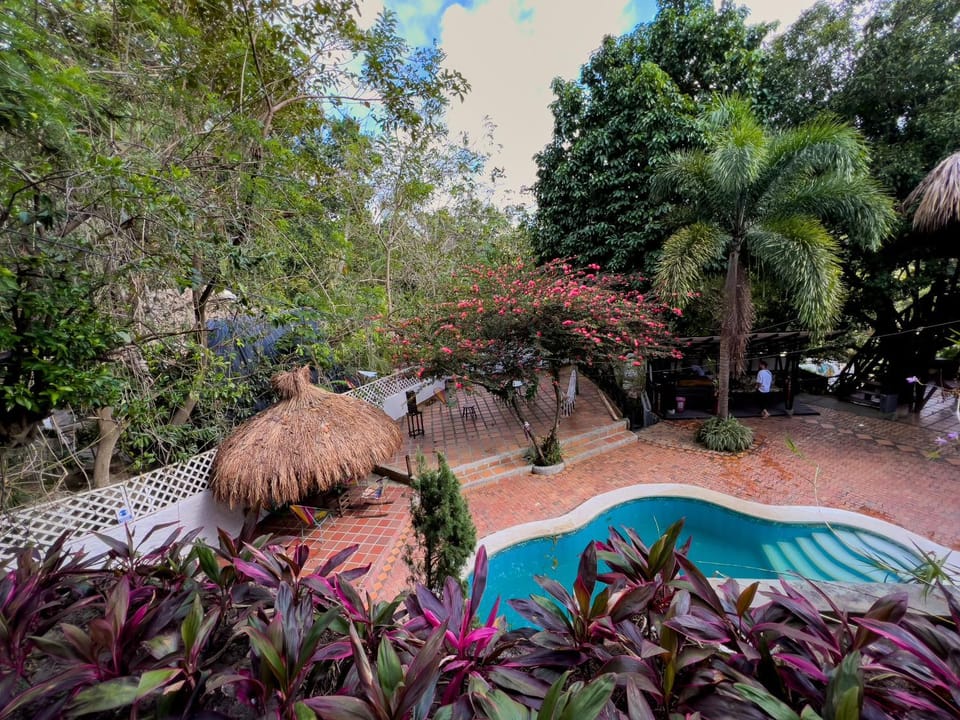 Garden, Pool view