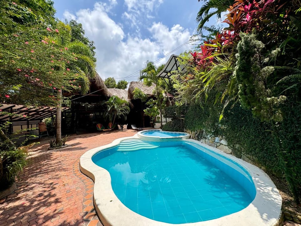 Garden view