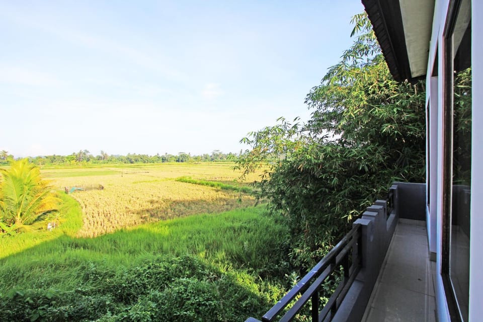 Day, Natural landscape
