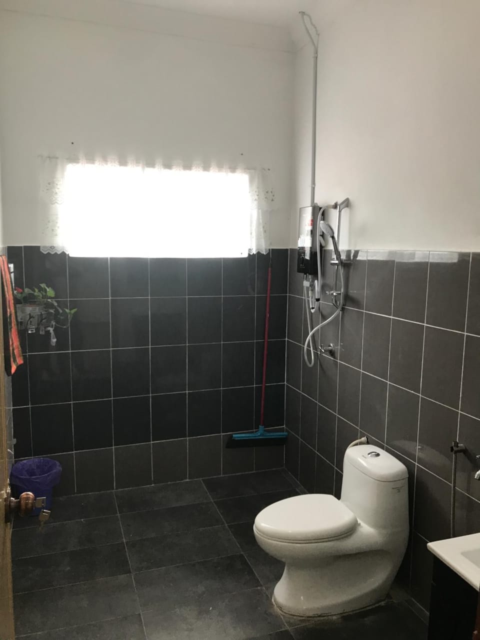 Shower, Toilet, Bathroom, Bathroom