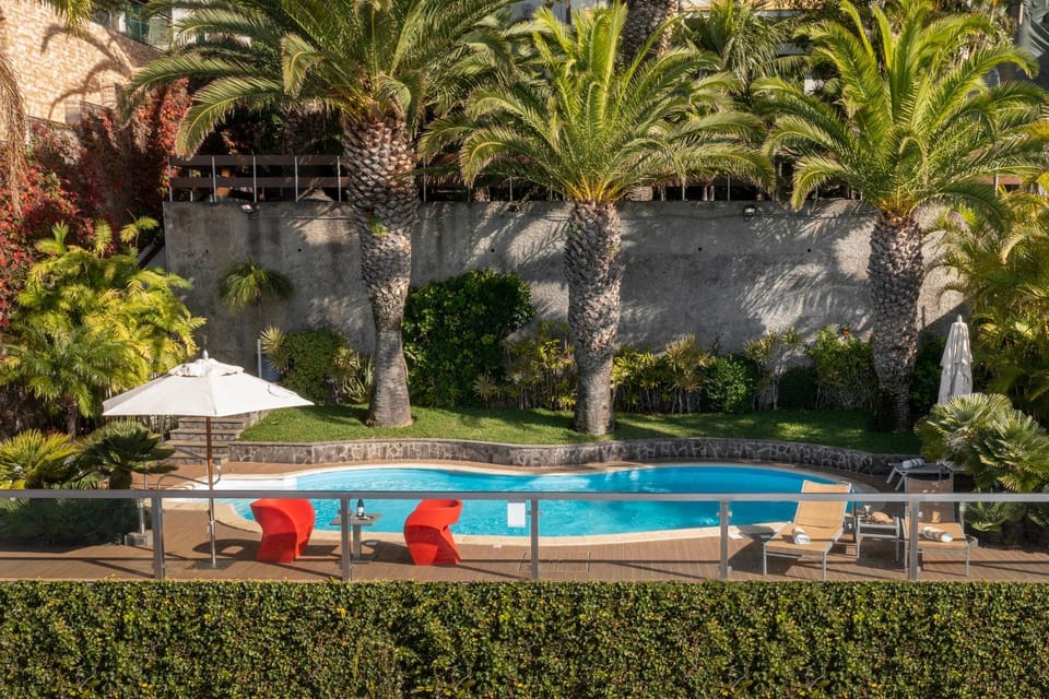 Garden, Other, Swimming pool, sunbed