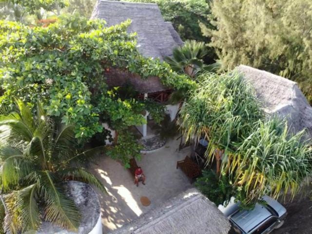Day, Garden, Garden view
