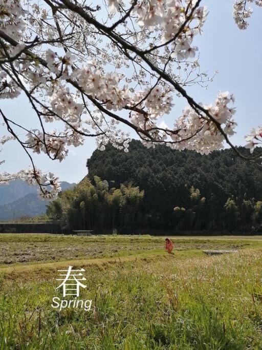 Spring, Natural landscape