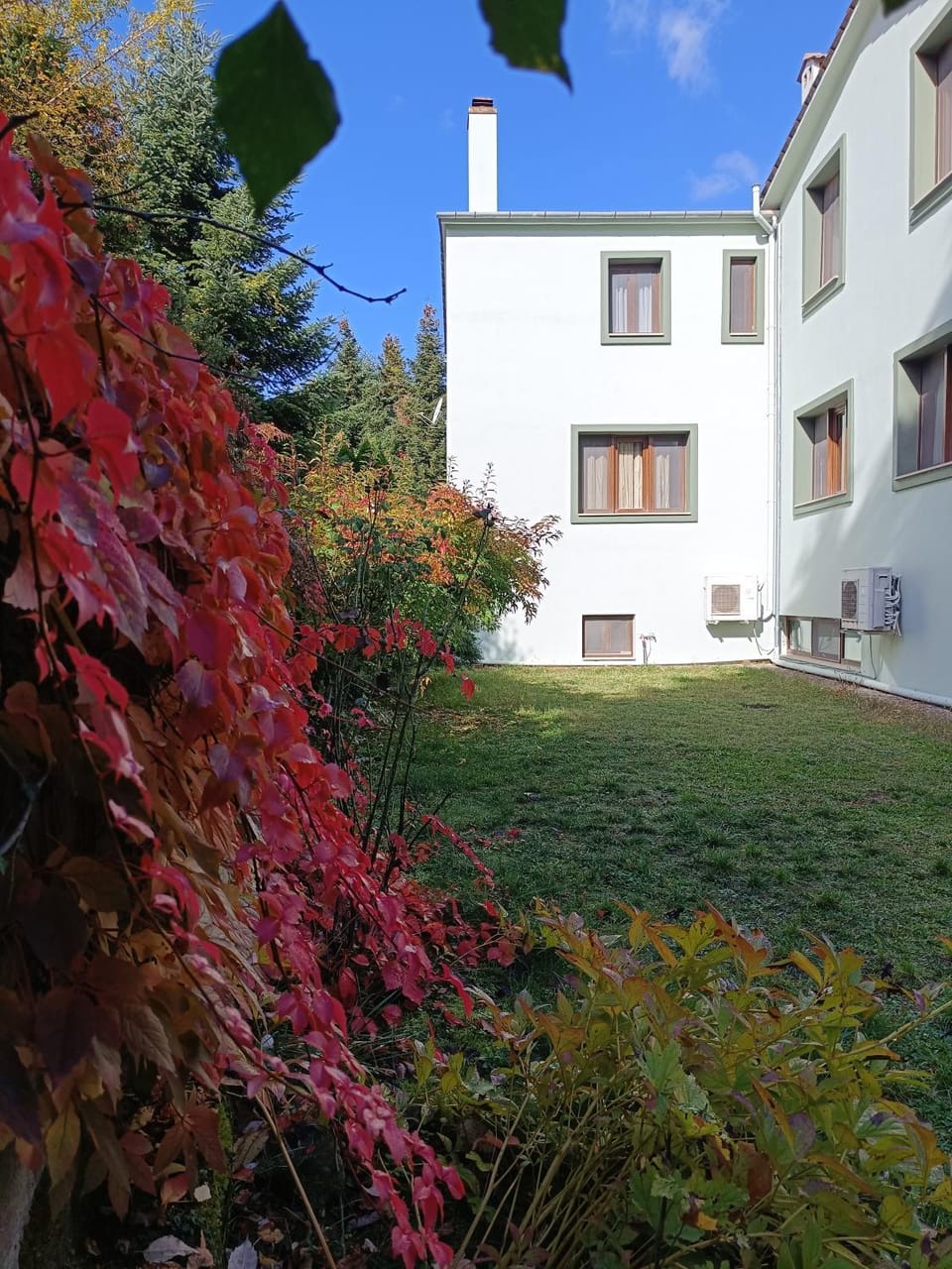Baldeneige Bed and Breakfast in Peloponnese, Western Greece and the Ionian