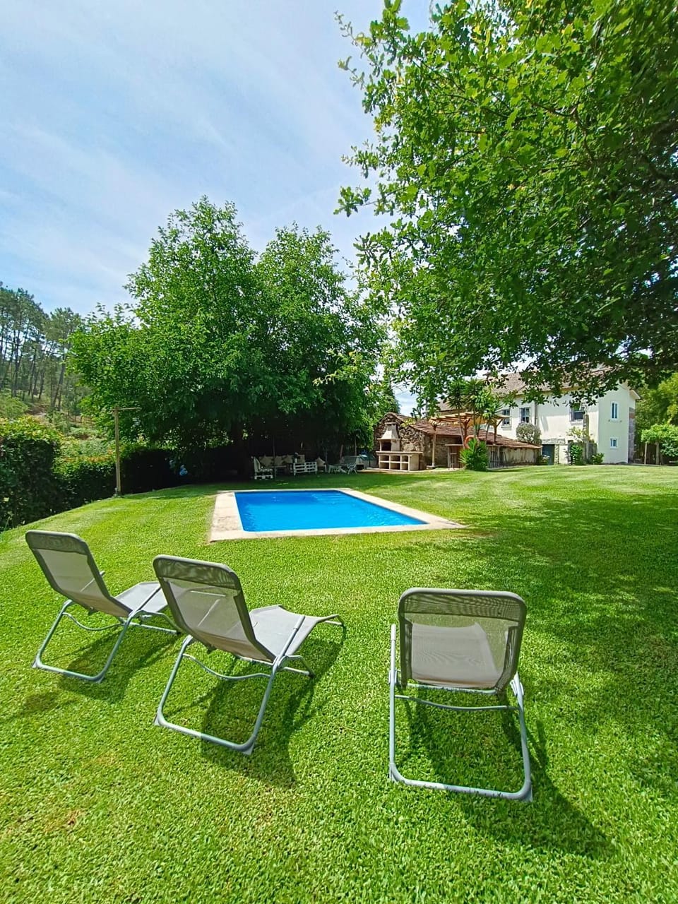 Spring, Day, Natural landscape, Garden, Garden view, Pool view, Swimming pool, sunbed
