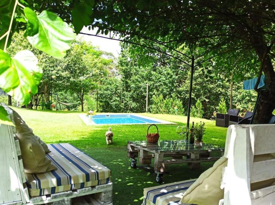Garden, Garden view, Pool view, Swimming pool