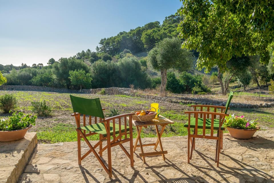 Natural landscape, Garden, Other