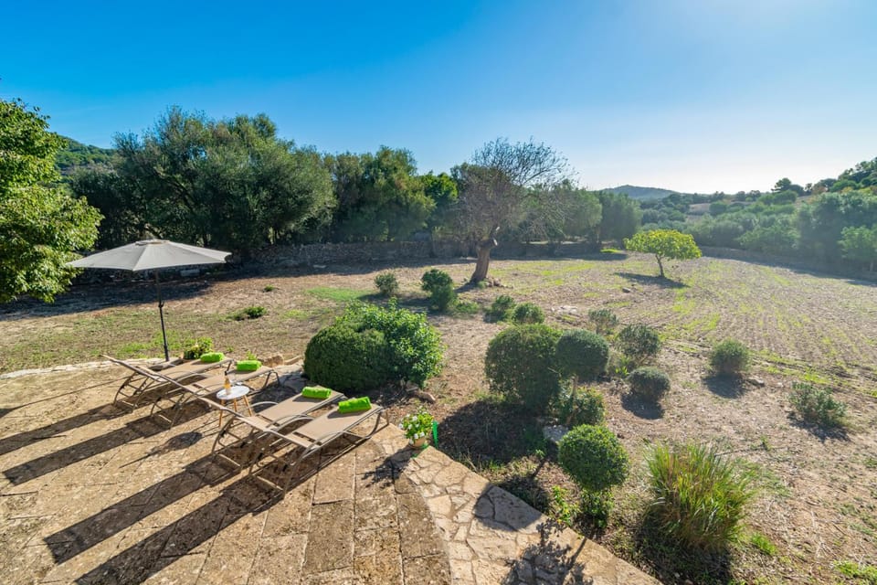 Natural landscape, Garden, Other, Garden view