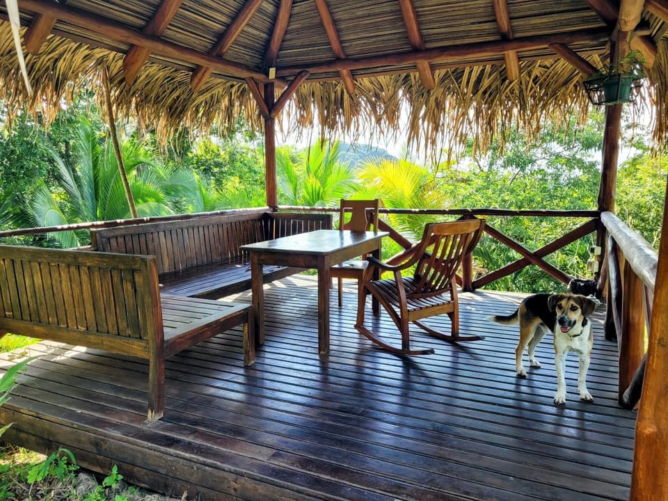 Villa Martina Palmgarden Apartment in Guanacaste Province