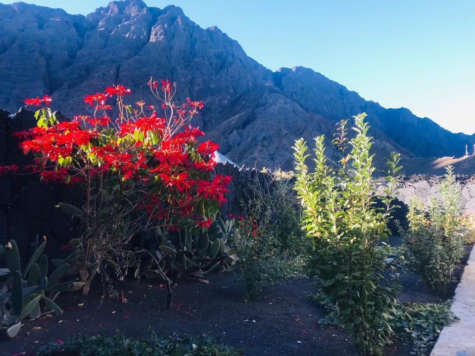 Natural landscape, Garden, Garden view, Mountain view