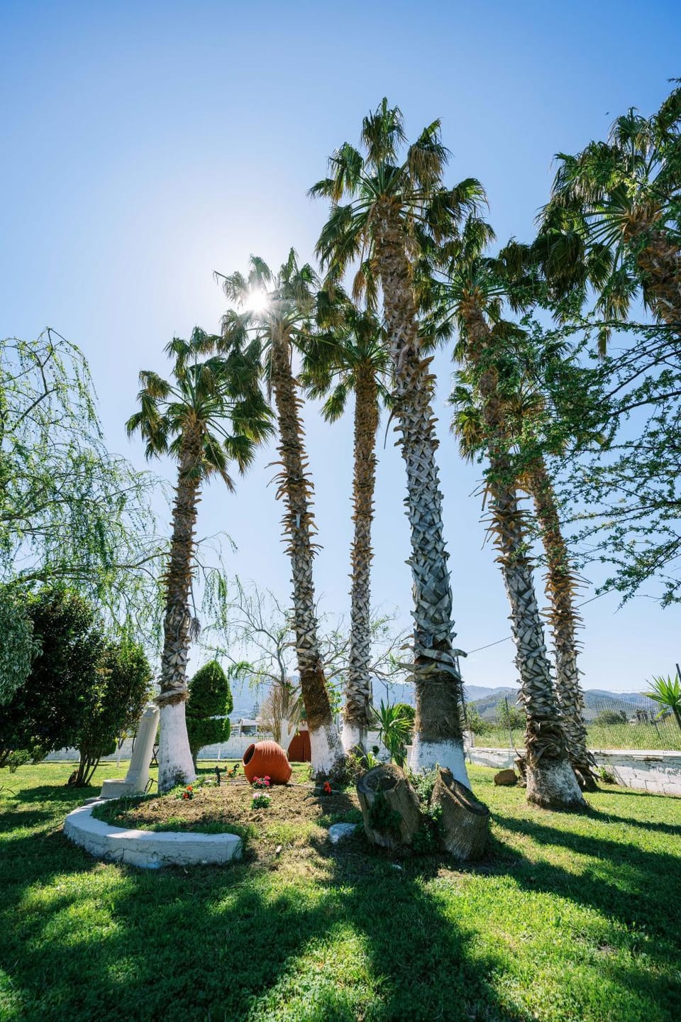 Day, Garden, Garden view